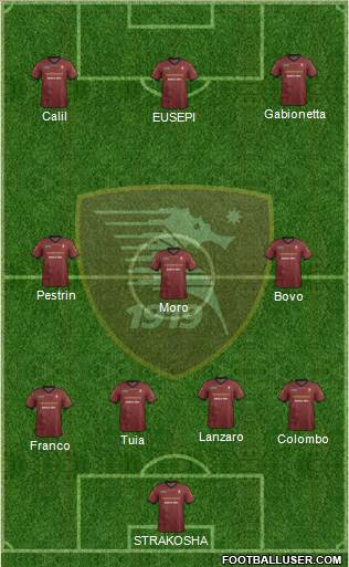 Salernitana Formation 2015