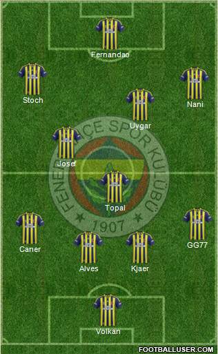 Fenerbahçe SK Formation 2015