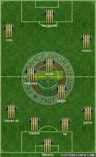 Fenerbahçe SK Formation 2015