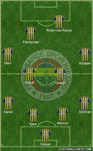 Fenerbahçe SK Formation 2015