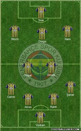 Fenerbahçe SK Formation 2015