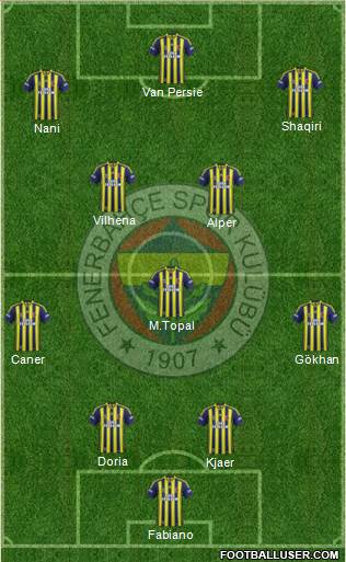Fenerbahçe SK Formation 2015