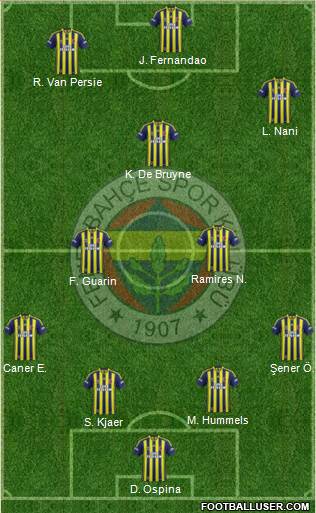 Fenerbahçe SK Formation 2015