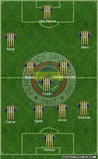 Fenerbahçe SK Formation 2015