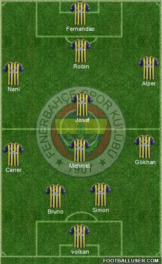 Fenerbahçe SK Formation 2015