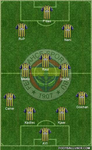 Fenerbahçe SK Formation 2015
