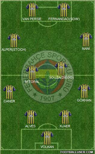 Fenerbahçe SK Formation 2015