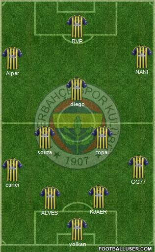 Fenerbahçe SK Formation 2015