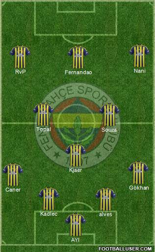 Fenerbahçe SK Formation 2015