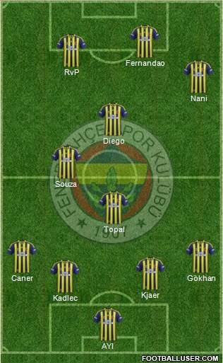 Fenerbahçe SK Formation 2015