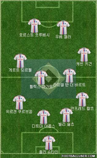 Hamburger SV Formation 2015