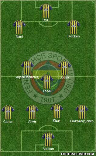 Fenerbahçe SK Formation 2015