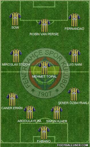 Fenerbahçe SK Formation 2015