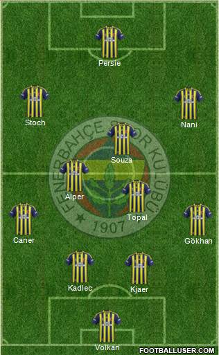Fenerbahçe SK Formation 2015