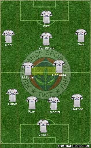 Fenerbahçe SK Formation 2015