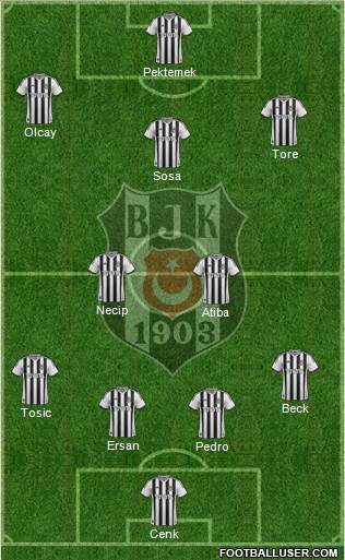 Besiktas JK Formation 2015