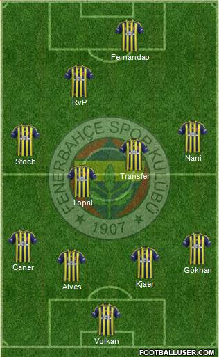 Fenerbahçe SK Formation 2015