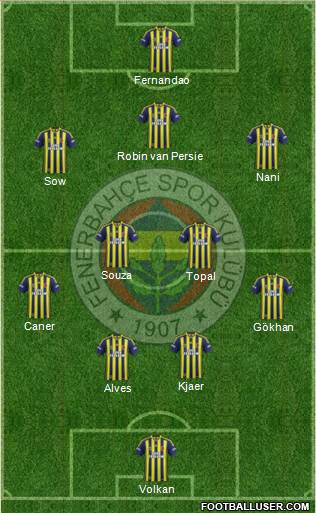 Fenerbahçe SK Formation 2015