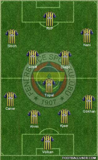 Fenerbahçe SK Formation 2015