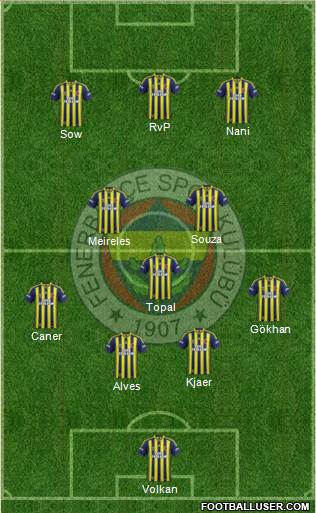 Fenerbahçe SK Formation 2015
