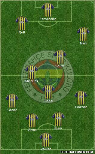 Fenerbahçe SK Formation 2015