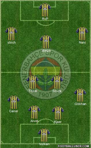 Fenerbahçe SK Formation 2015