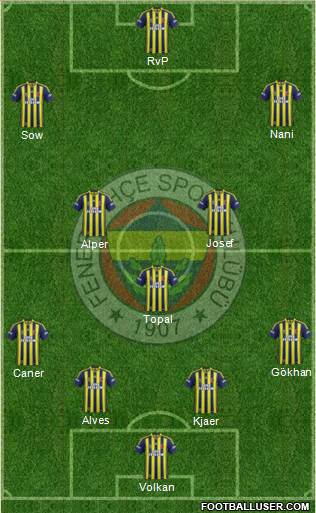 Fenerbahçe SK Formation 2015