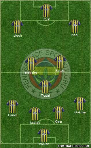 Fenerbahçe SK Formation 2015