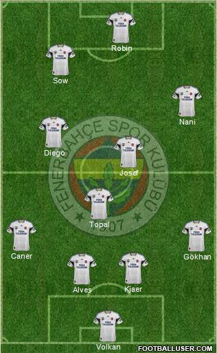 Fenerbahçe SK Formation 2015