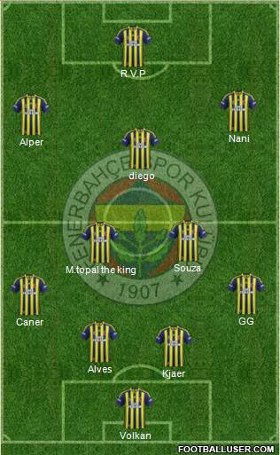 Fenerbahçe SK Formation 2015