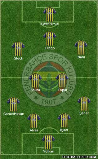 Fenerbahçe SK Formation 2015