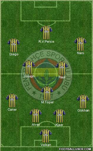 Fenerbahçe SK Formation 2015