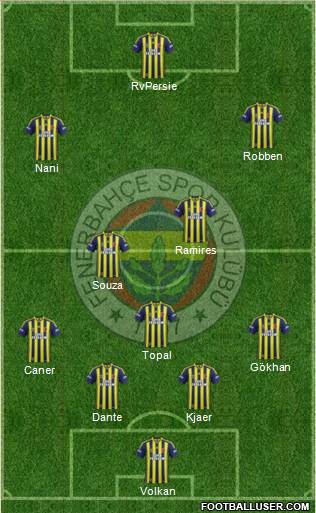 Fenerbahçe SK Formation 2015