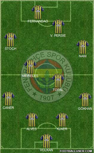 Fenerbahçe SK Formation 2015