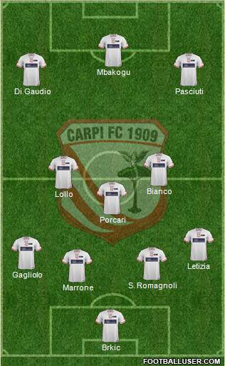 Carpi Formation 2015
