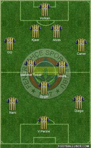 Fenerbahçe SK Formation 2015