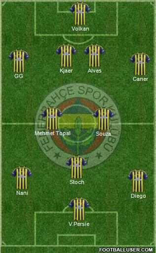 Fenerbahçe SK Formation 2015