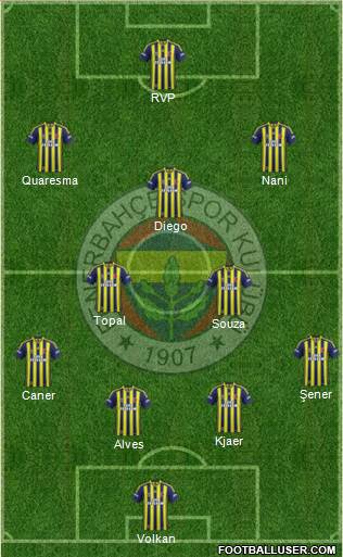 Fenerbahçe SK Formation 2015