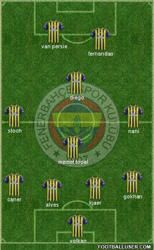 Fenerbahçe SK Formation 2015