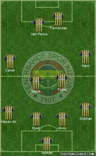 Fenerbahçe SK Formation 2015