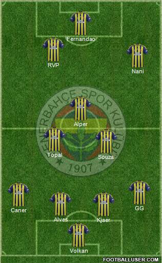 Fenerbahçe SK Formation 2015