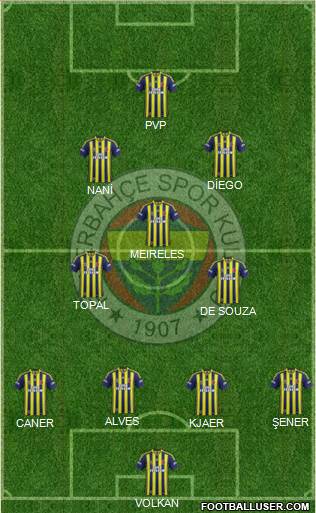 Fenerbahçe SK Formation 2015