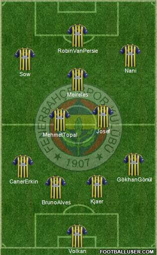 Fenerbahçe SK Formation 2015