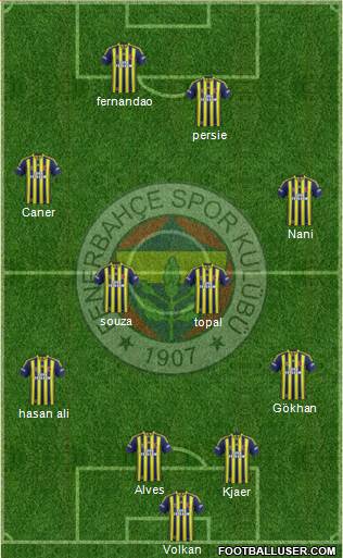 Fenerbahçe SK Formation 2015