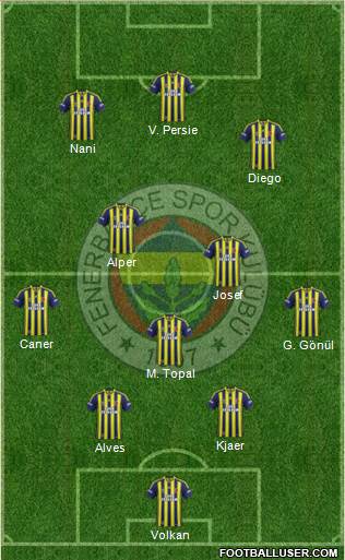Fenerbahçe SK Formation 2015