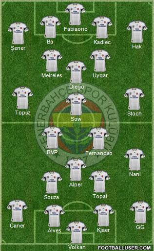 Fenerbahçe SK Formation 2015