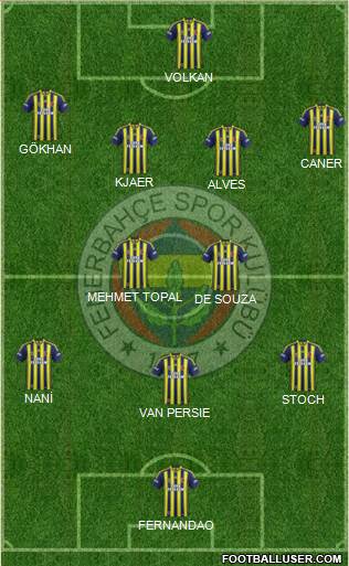 Fenerbahçe SK Formation 2015