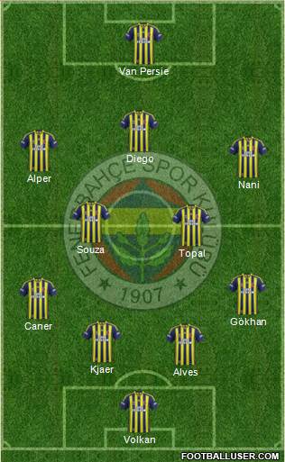 Fenerbahçe SK Formation 2015