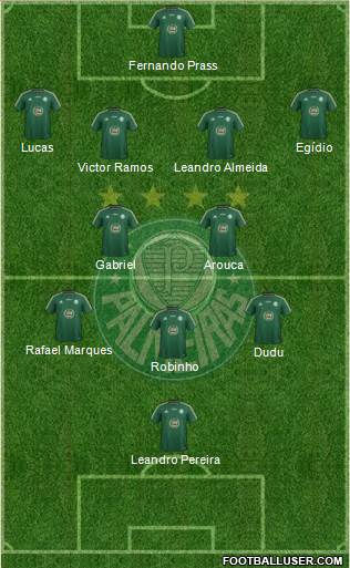 SE Palmeiras Formation 2015