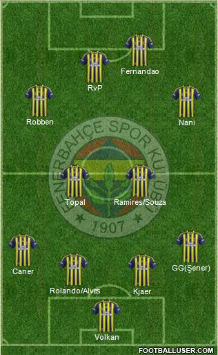 Fenerbahçe SK Formation 2015